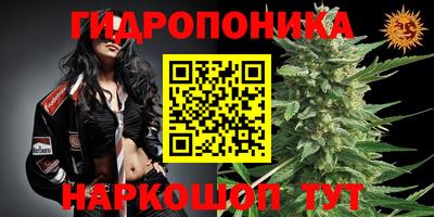хмурый Малгобек