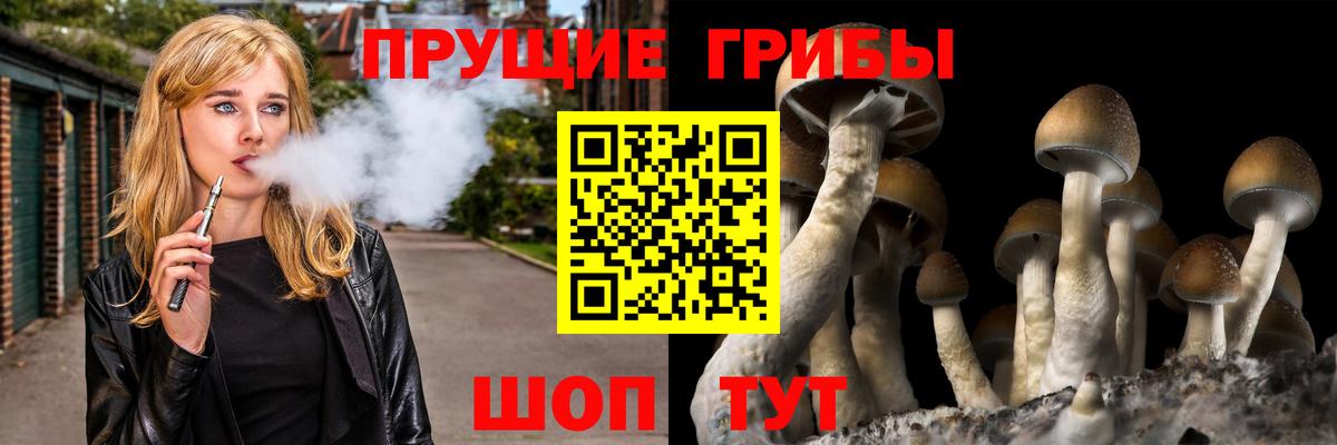 Бошки Шишки  ГАШ  Вход с VPN  Cocaine  Гудермес  Мефедрон  